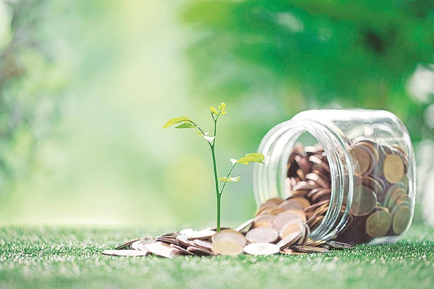 Consumption funds: Hold if you can withstand volatility, invest for 5 yrs