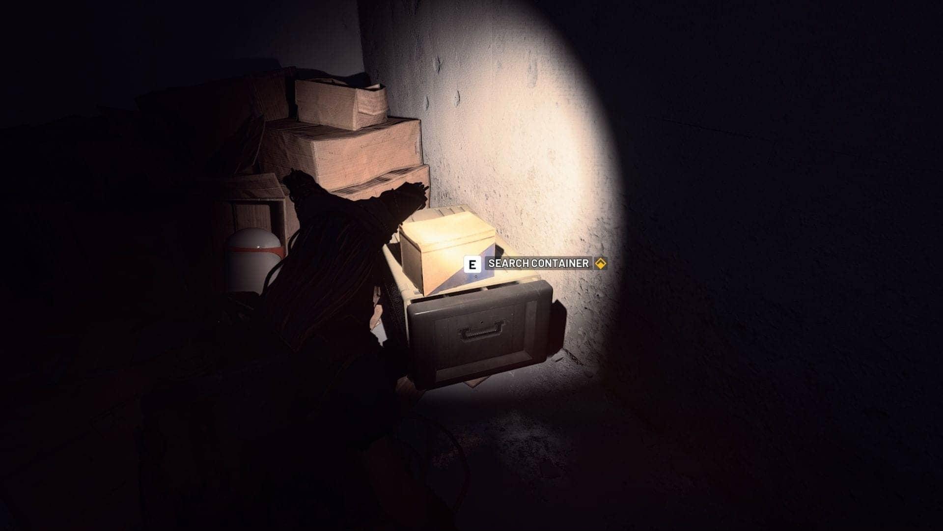 Furtive Meetings Quest: Snap Photos and Deliver Secrets