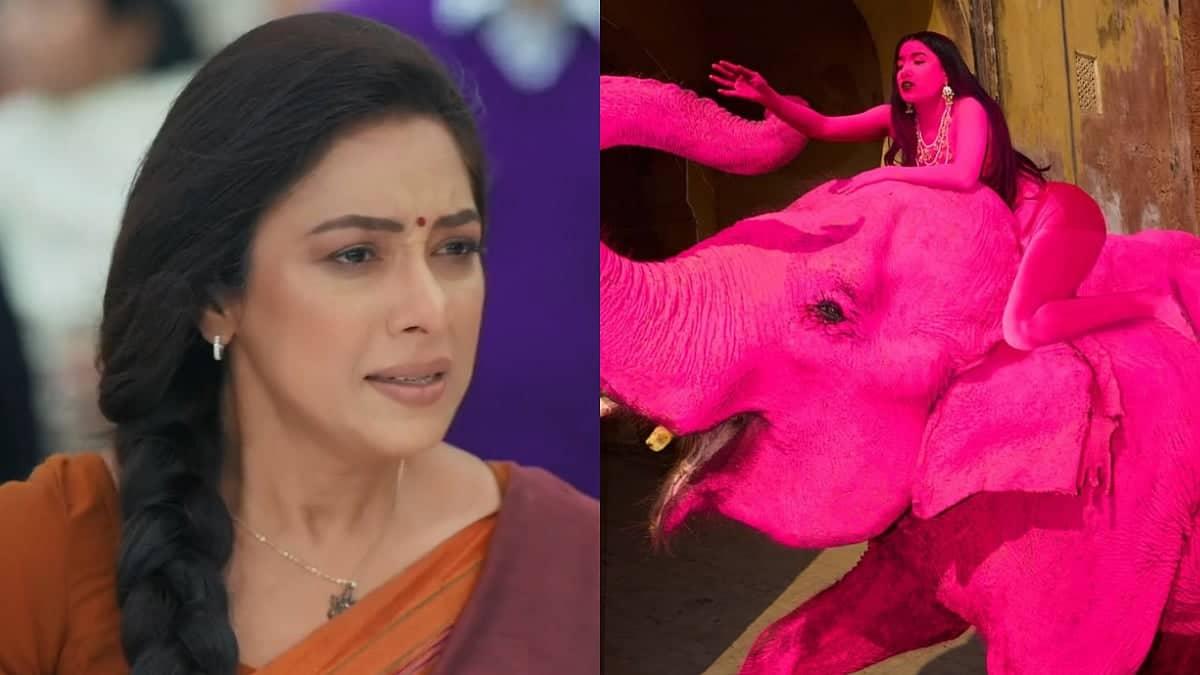 Rupali Ganguly Calls for Robot Elephants After Pink Tragedy