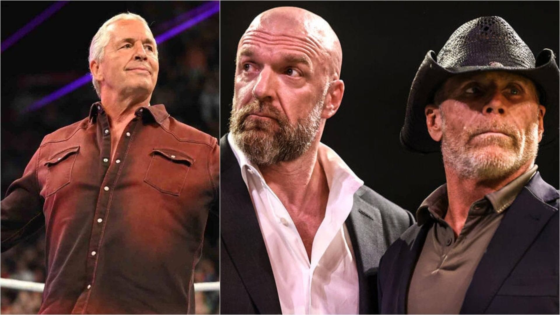 Bret Hart: No Way Shawn and Triple H Steal the Spotlight
