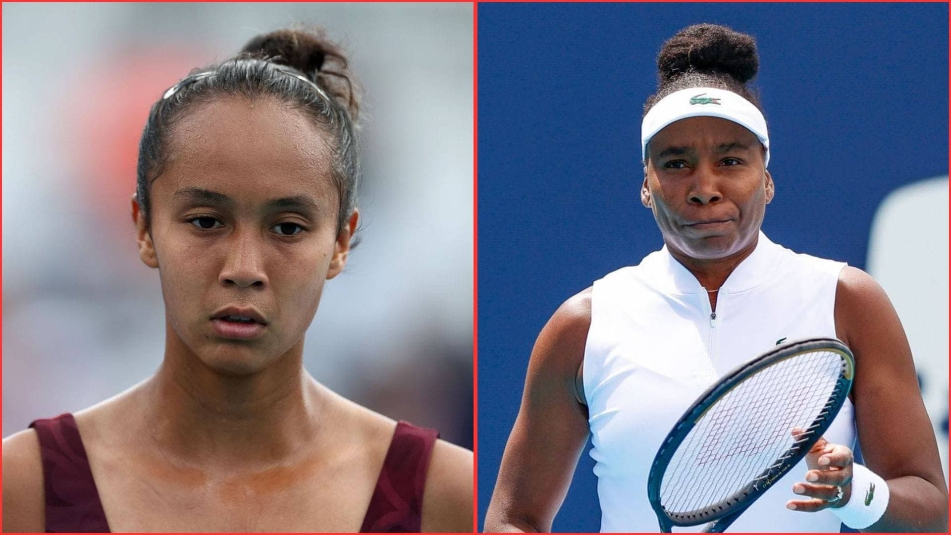 Leylah's Heartbreak: Venus's Words Ignite Her Comeback Spirit