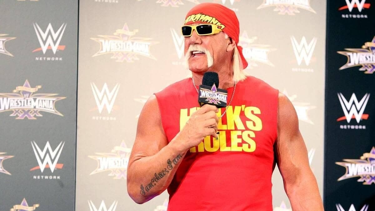 Hulk Hogan's Rollercoaster: From Trouble to Truth in Wrestling