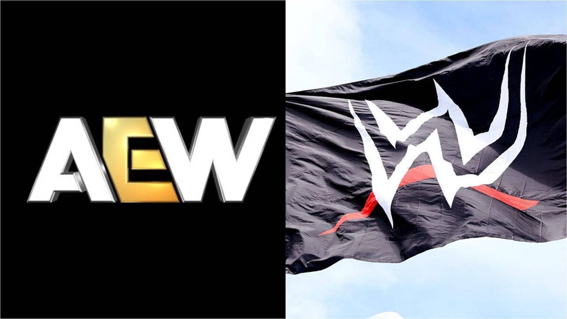 Danhausen's WWE Adventure: Fans Crave More of This Ninja!