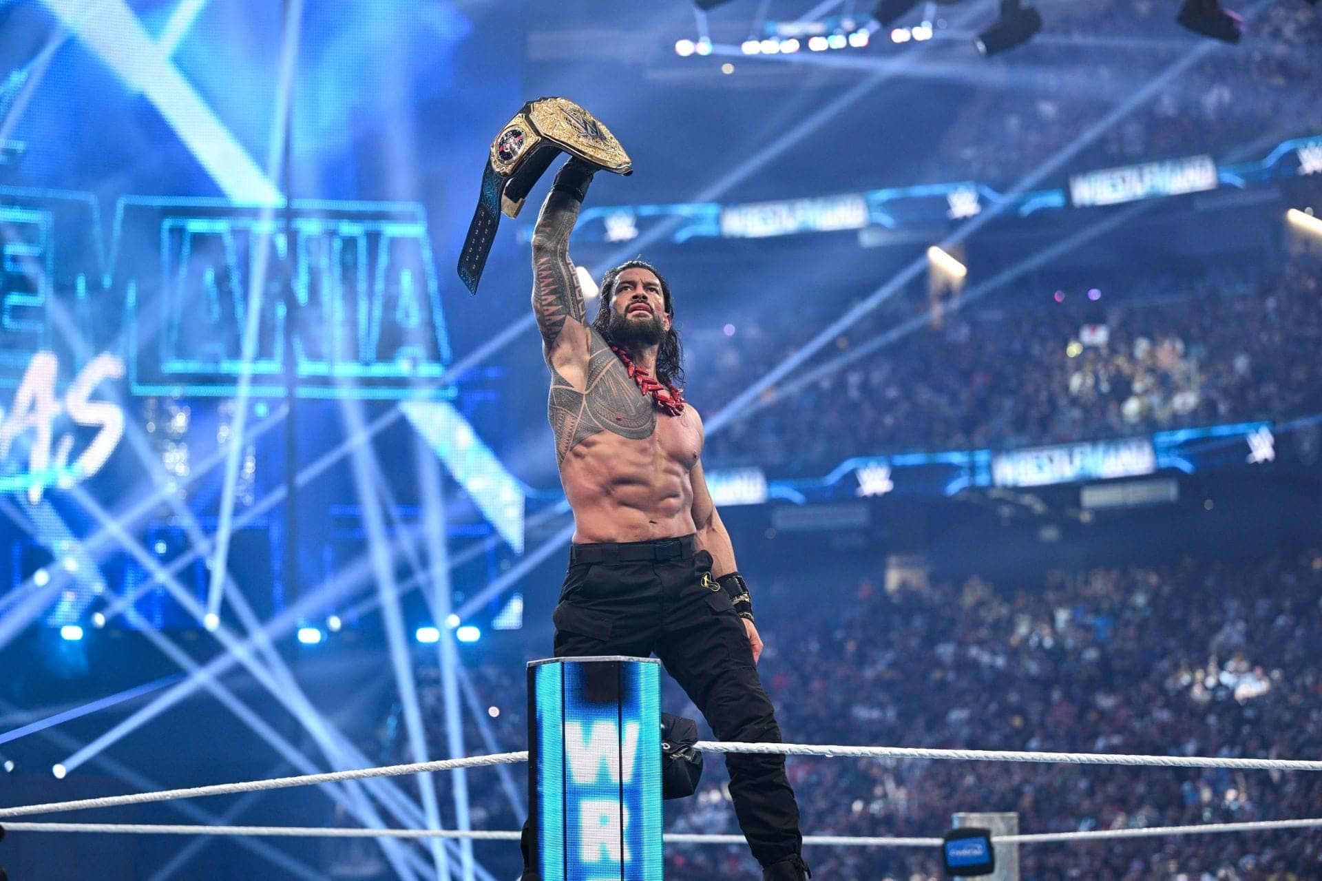Roman Reigns Takes the Crown at WrestleMania 42—But Wait!