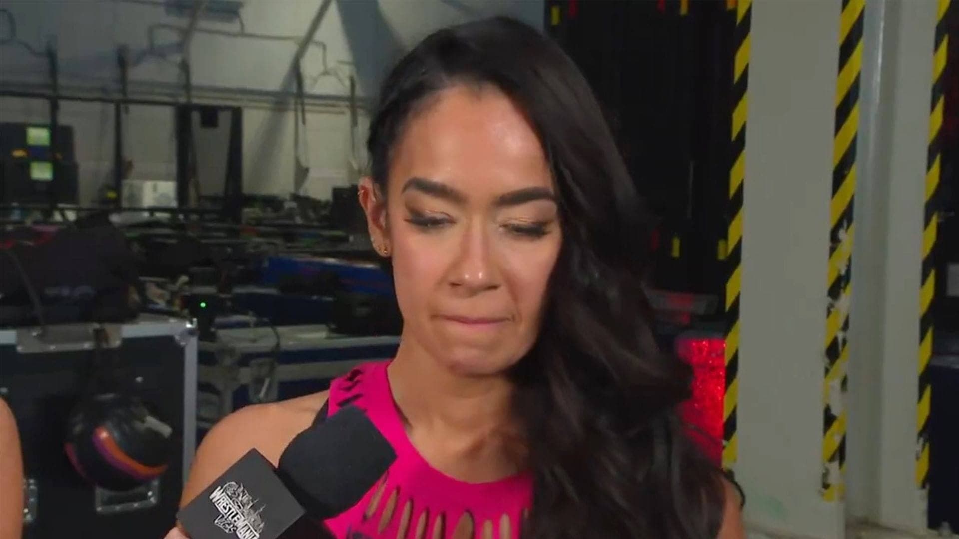 AJ Lee's Epic Message: The Warrior's Journey Isn't Over