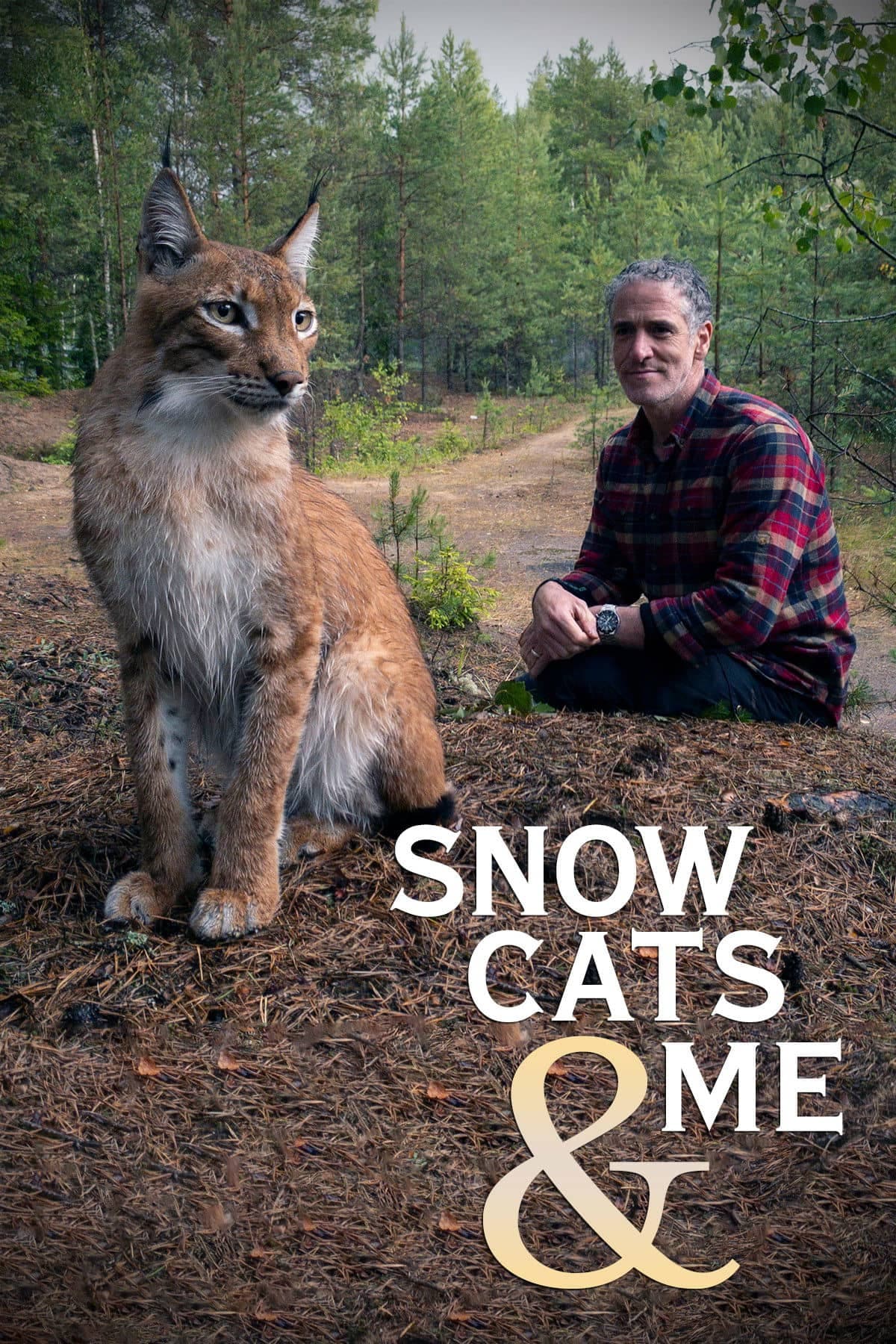 Miniseries