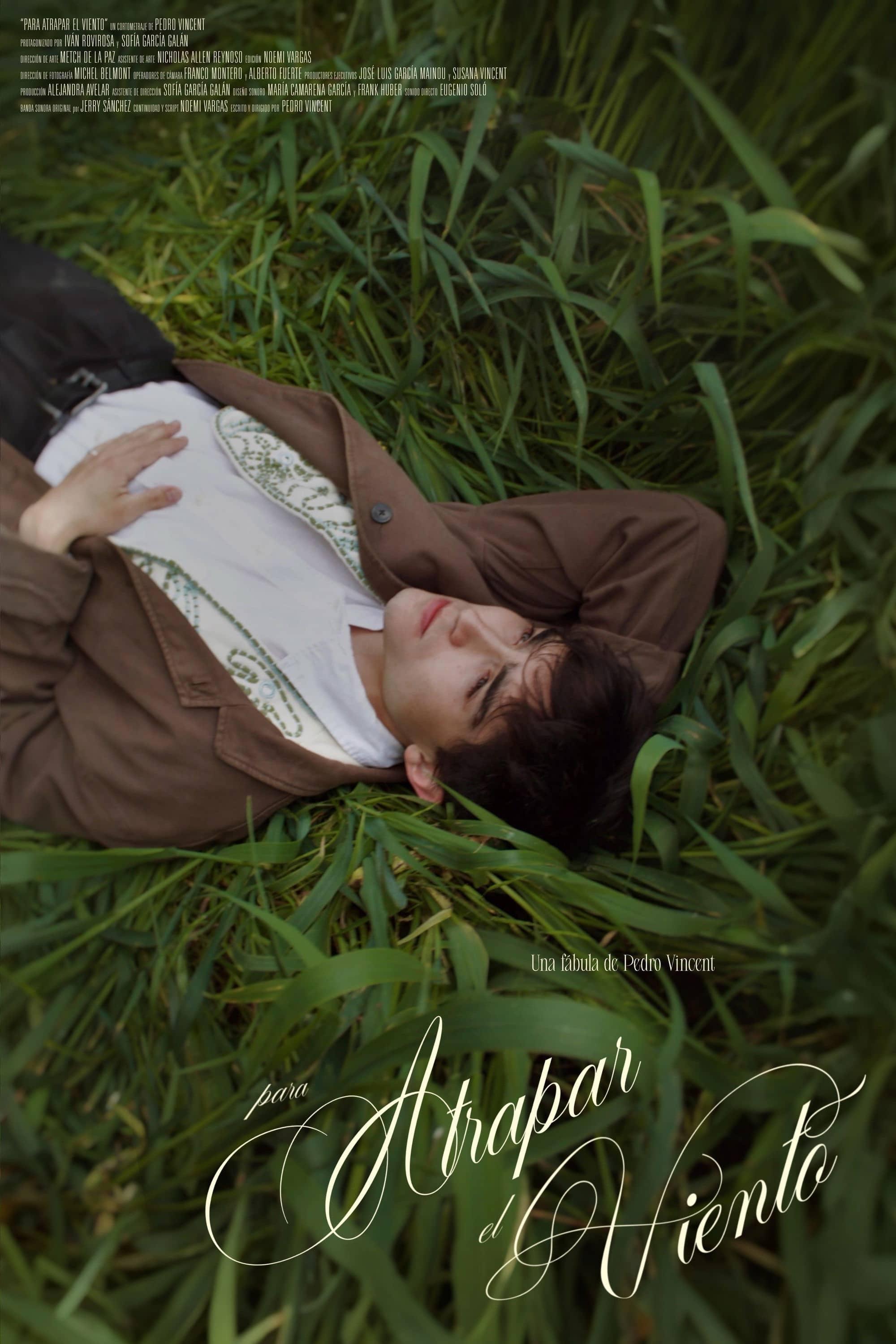 Para atrapar el viento