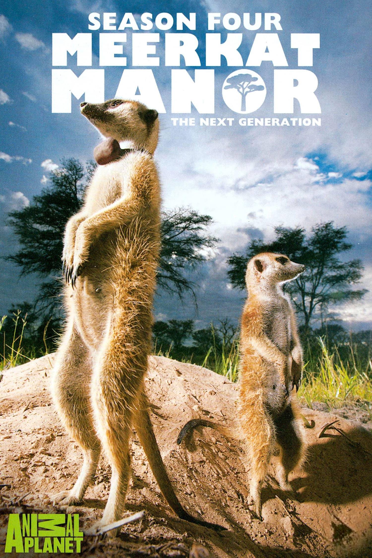 Young Sherlock backdrop