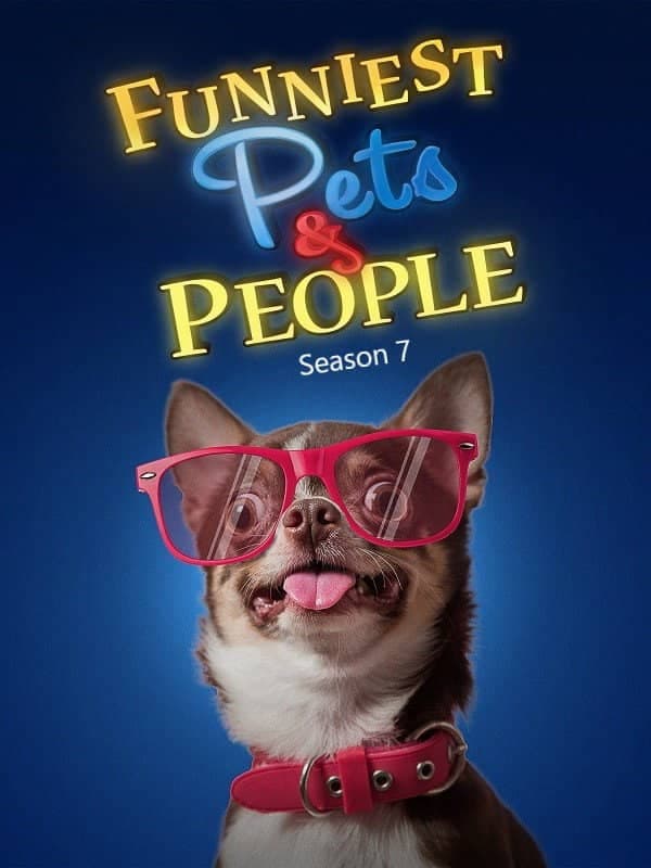 Season 7