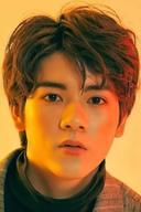 Yongsin Wongpanitnont