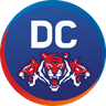 Delhi Capitals