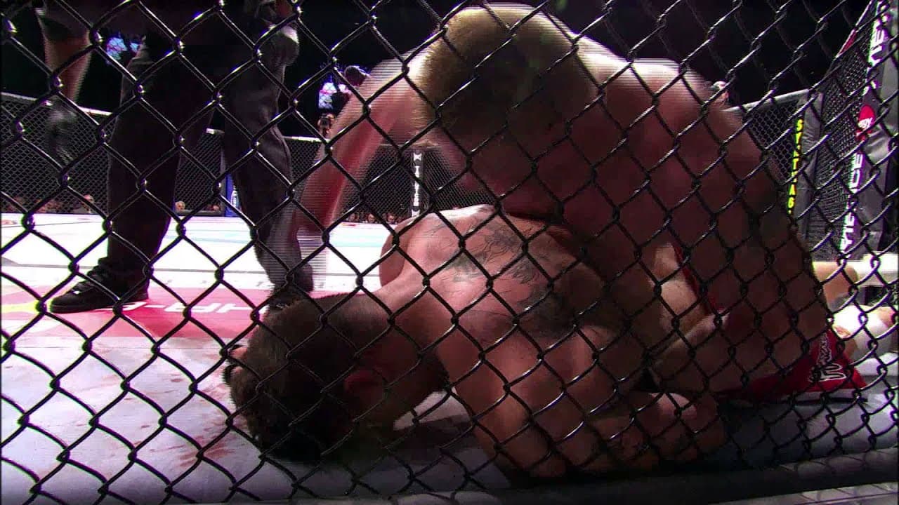 Brock Lesnar: Best of the Beast