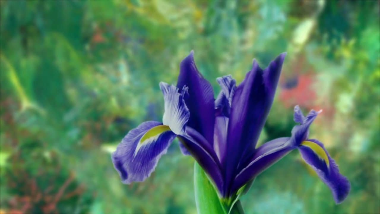 Watch the trailer for 'Painting the Modern Garden: Monet to Matisse'