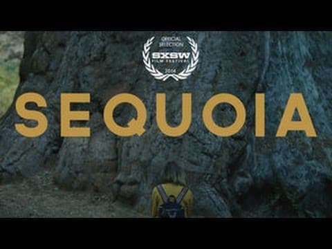 SEQUOIA - (Aly Michalka) 2014 SXSW OFFICIAL SELECTION FILM TRAILER