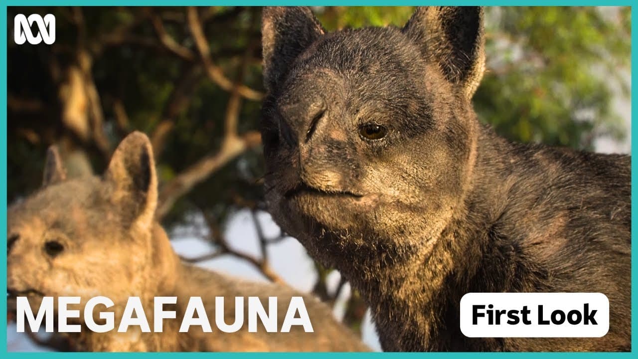 Megafauna: What Killed Australia's Giants?