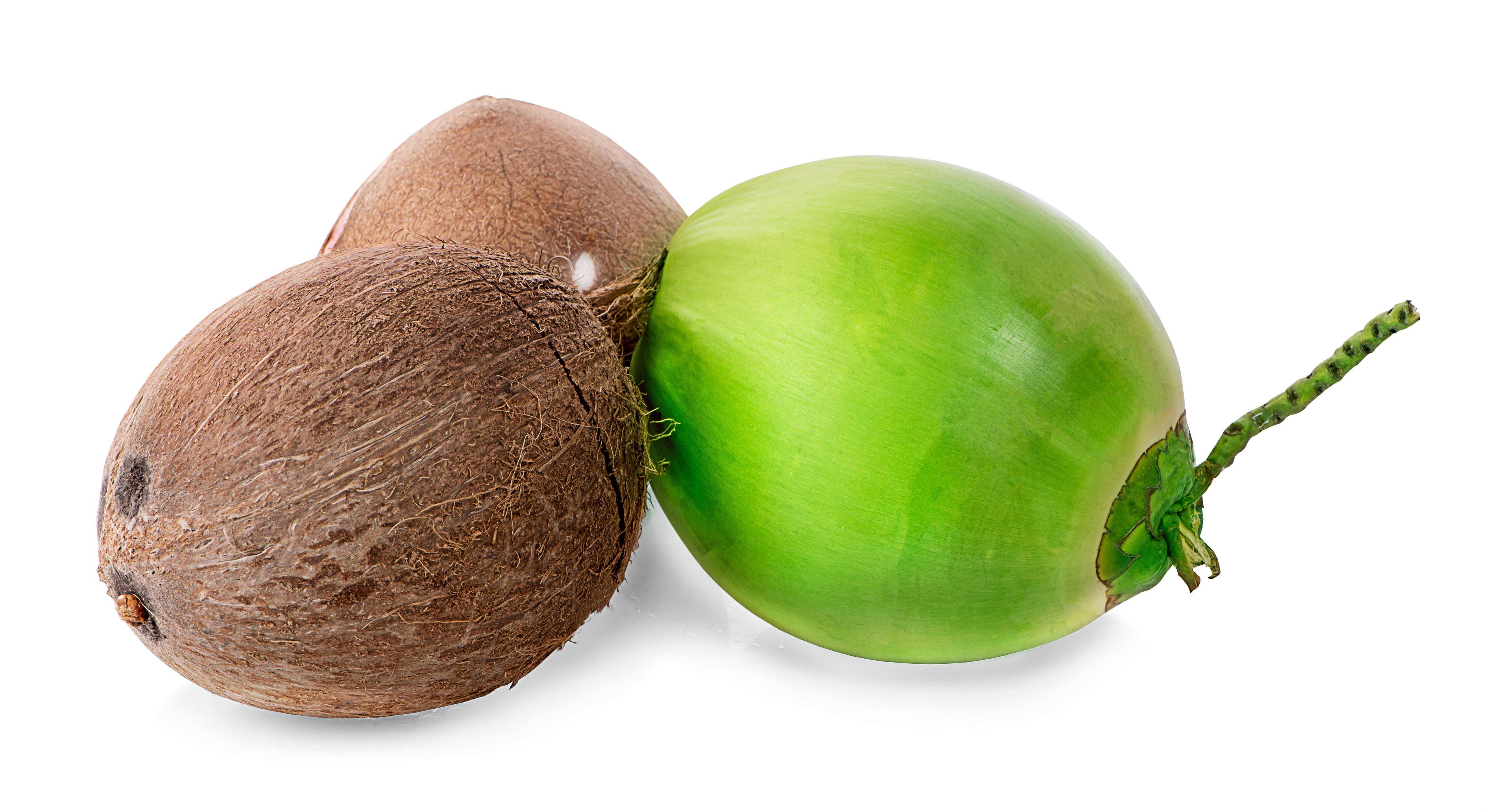 Green vs Brown Coconut Water: The Ultimate Hydration Showdown!