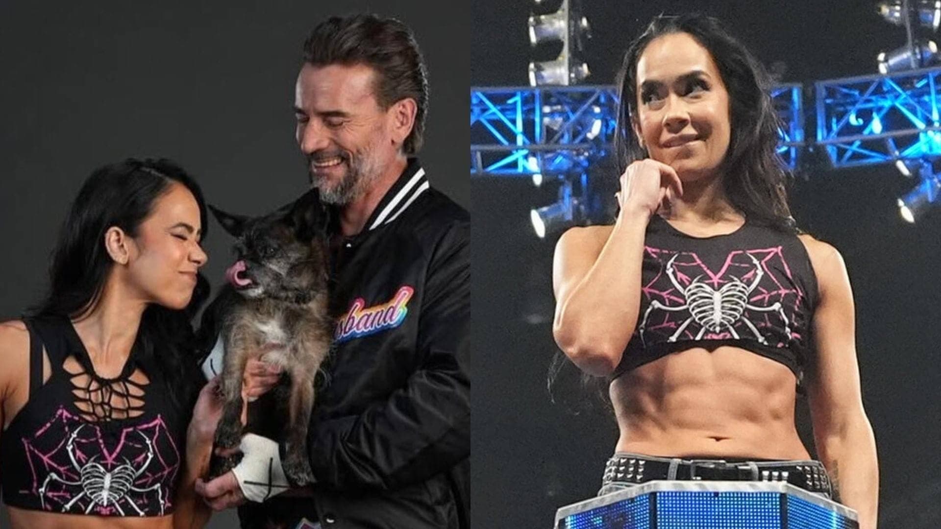 AJ Lee and CM Punk: WWE's Power Couple Returns to the Ring