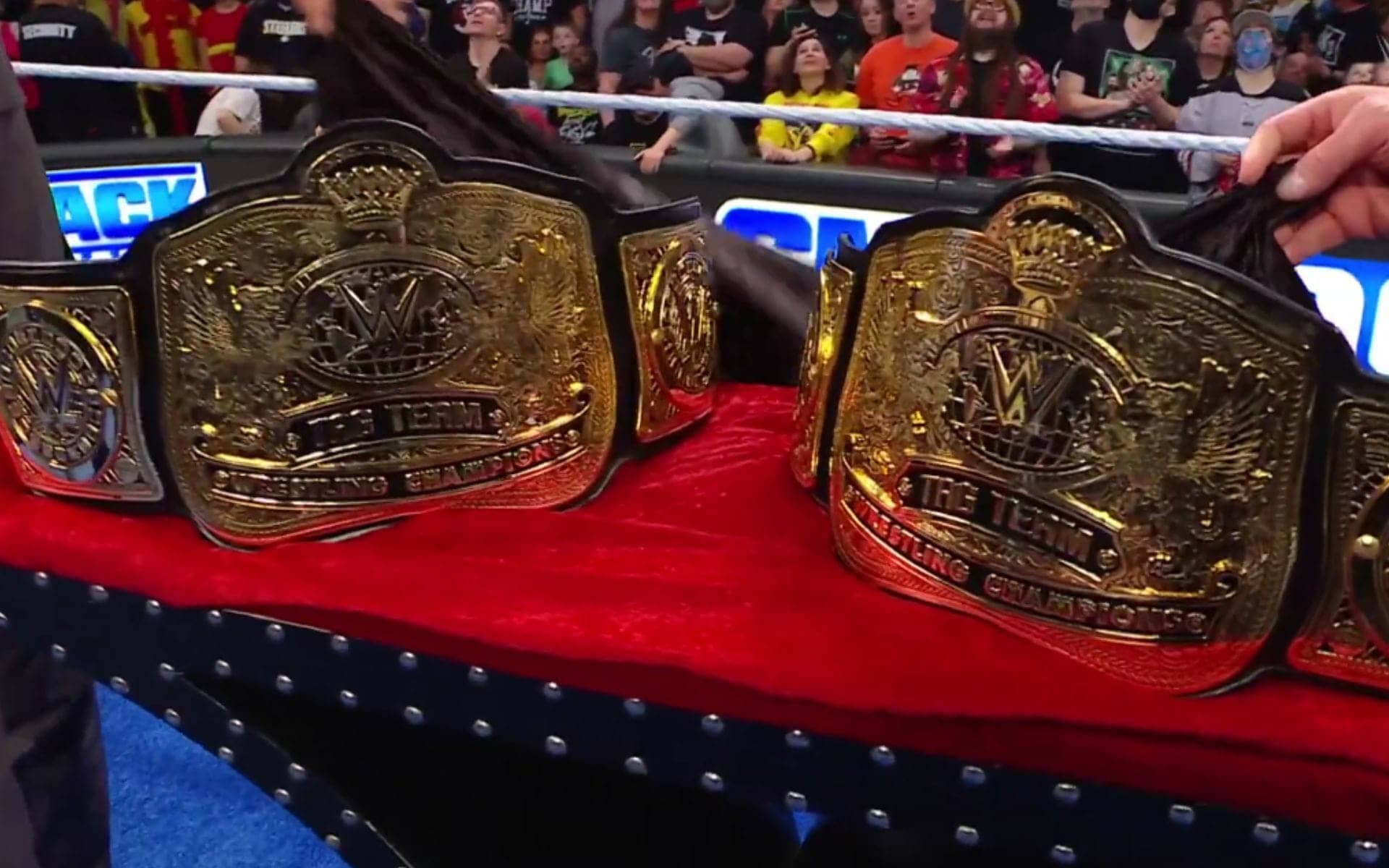 WWE Shocker: Ex-Tag Champs Exit After 19 Months, Believe It!
