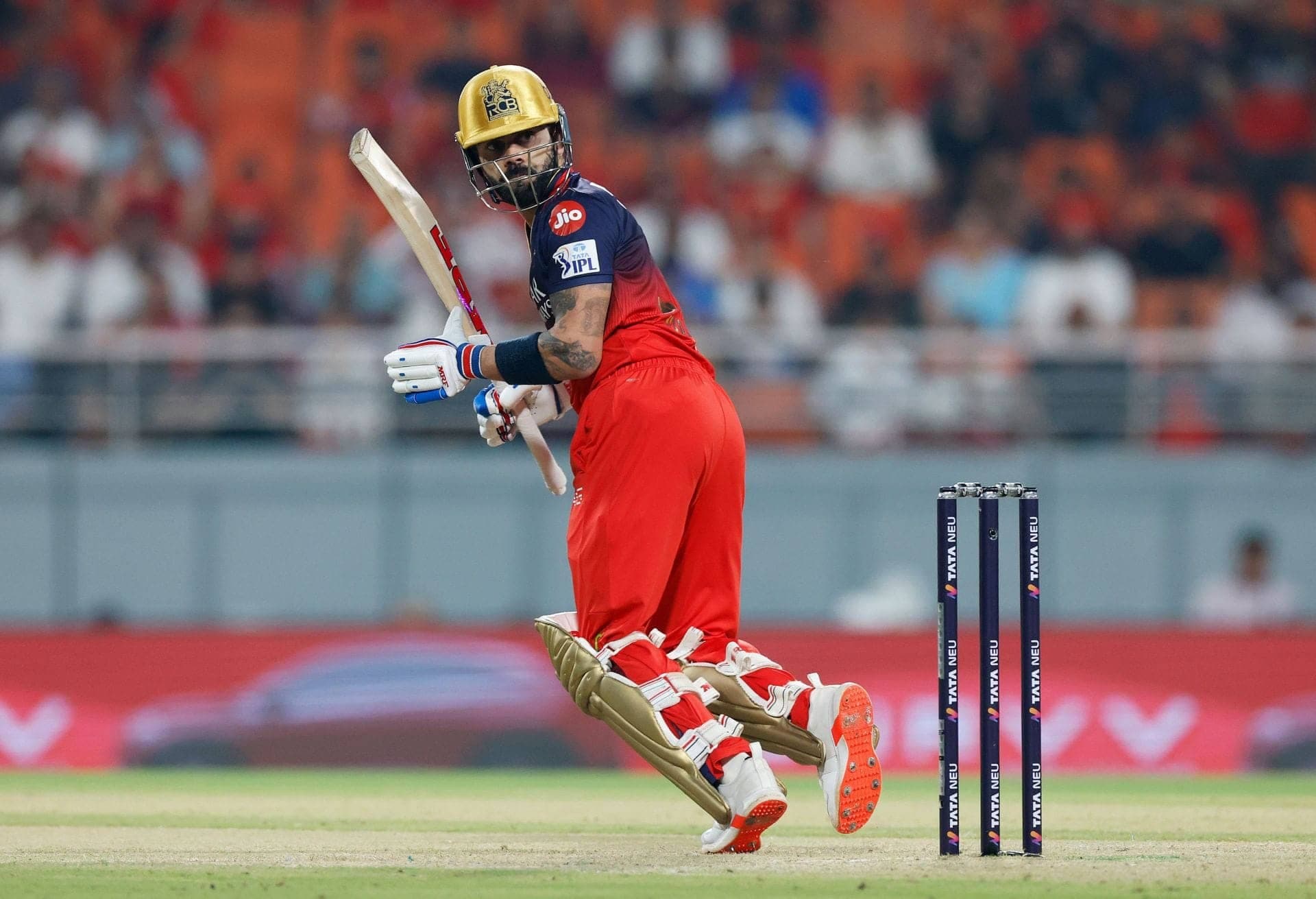 Kohli's Fist Pump: Ducks Behind Him as RCB Soars High